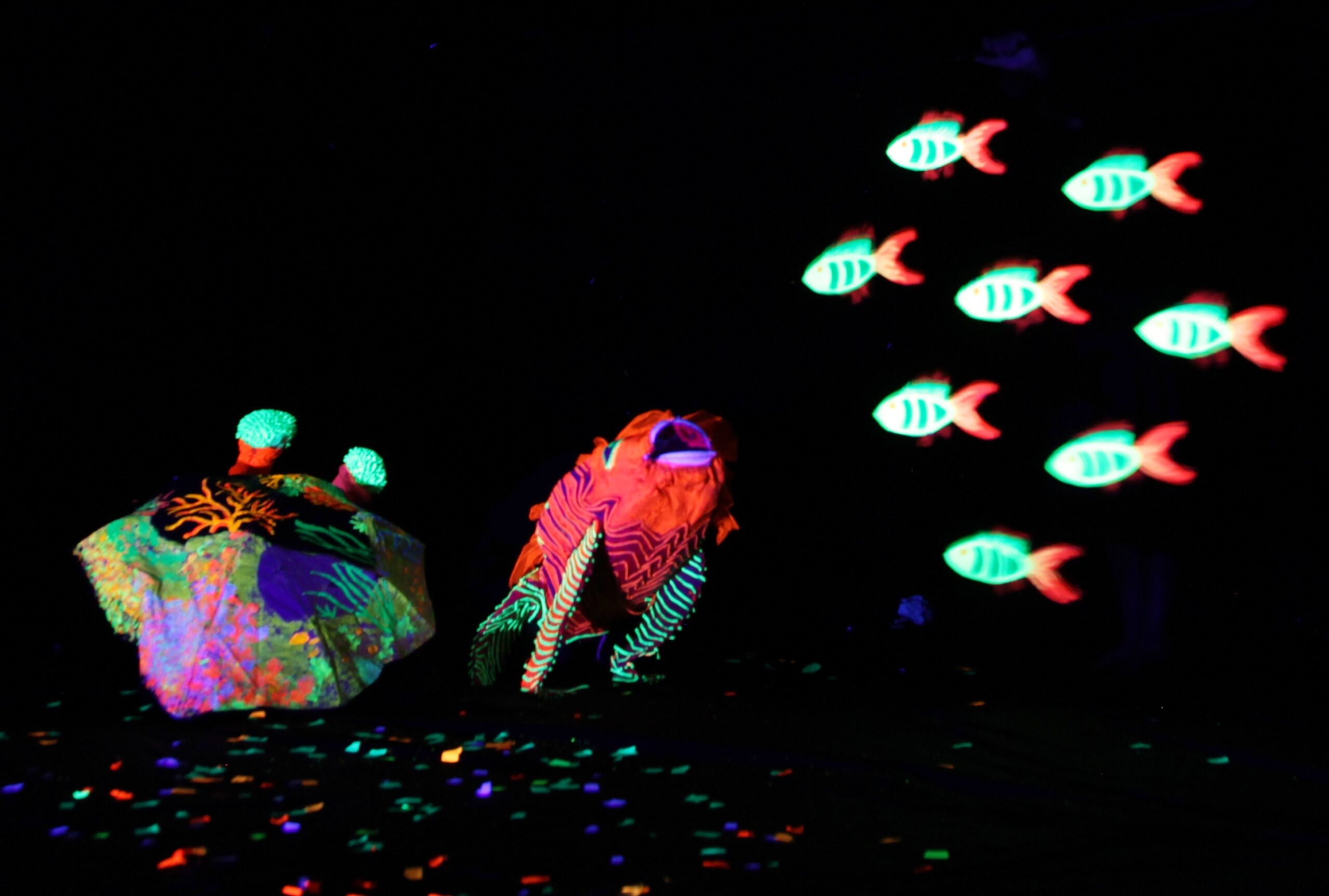 pesci fluo